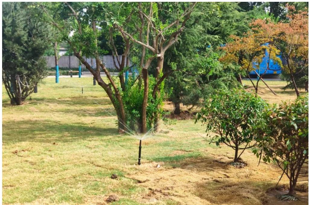 山东农业大学智能喷灌系统展示